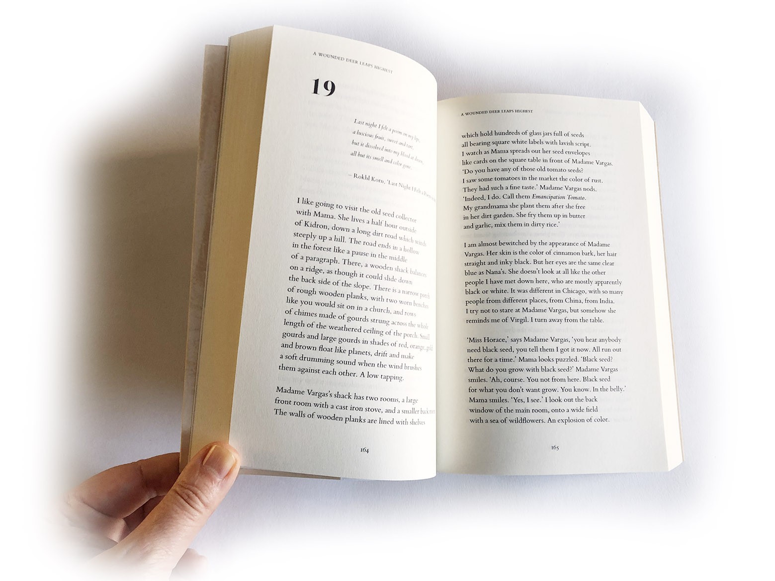 Book design, Black Spring Press Group, London