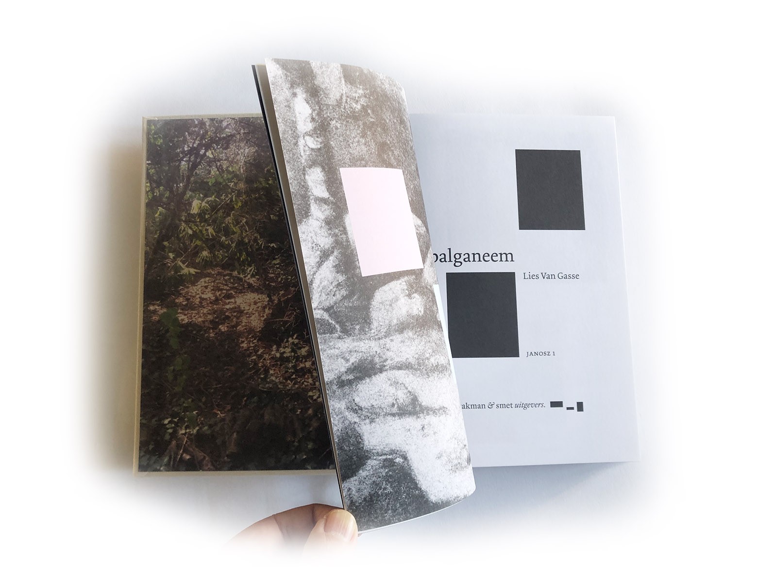 Boekontwerp voor Lies van Gasse's Palganeem - Kwakman-smet.nl