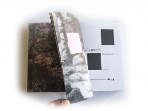 Boekontwerp voor Lies van Gasse's Palganeem - Kwakman-smet.nl